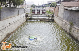 清水繞城，生態煥新 我市探索治理黑臭河道新路徑